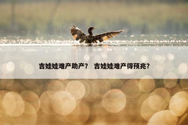 吉娃娃难产助产？ 吉娃娃难产得预兆？