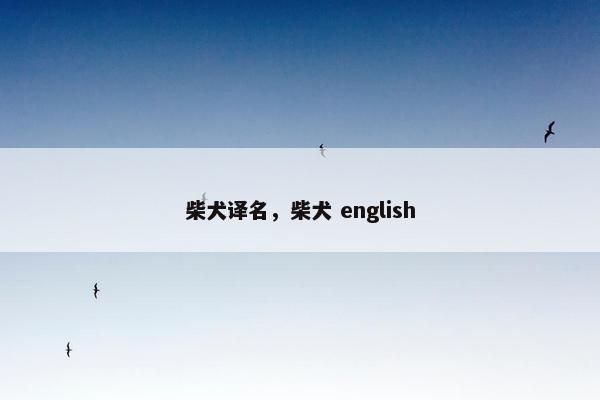 柴犬译名，柴犬 english