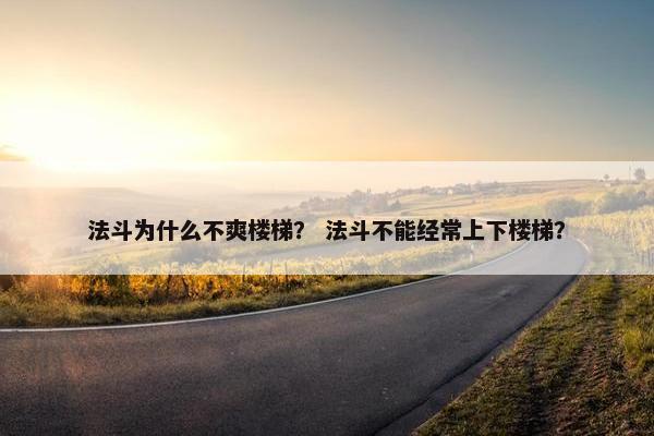 法斗为什么不爽楼梯？ 法斗不能经常上下楼梯？
