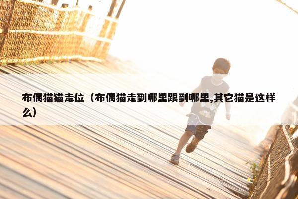 布偶猫猫走位（布偶猫走到哪里跟到哪里,其它猫是这样么）