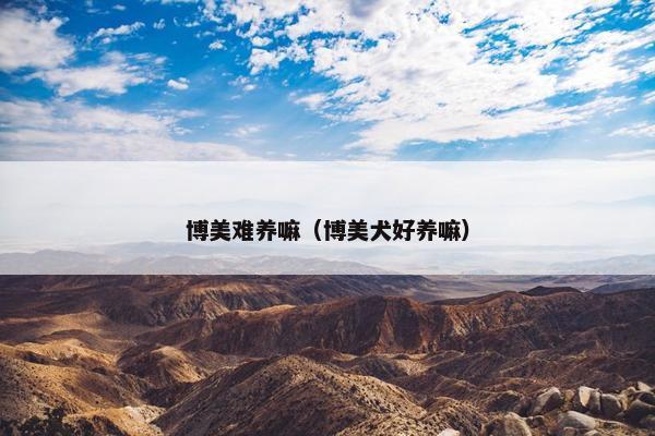 博美难养嘛（博美犬好养嘛）