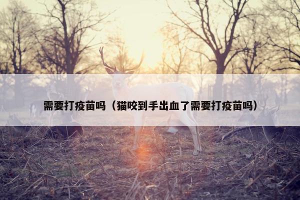 需要打疫苗吗（猫咬到手出血了需要打疫苗吗）