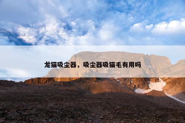 龙猫吸尘器，吸尘器吸猫毛有用吗