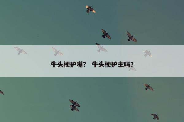 牛头梗护嘴？ 牛头梗护主吗？