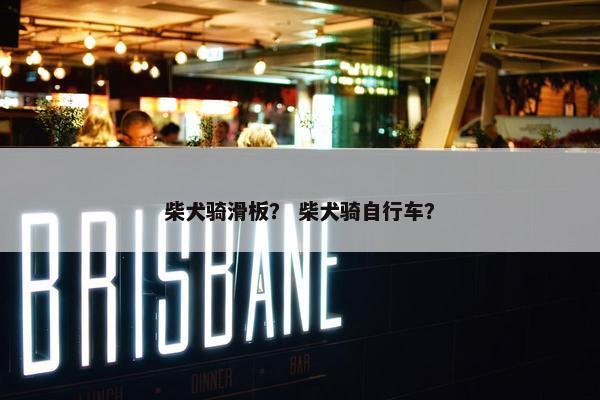 柴犬骑滑板? 柴犬骑自行车? 柴犬骑滑板? 柴犬骑自行车?