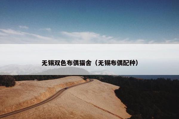 无锡双色布偶猫舍（无锡布偶配种）