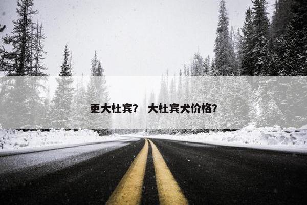 更大杜宾？ 大杜宾犬价格？