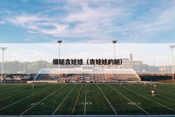 细腿吉娃娃（吉娃娃的腿）