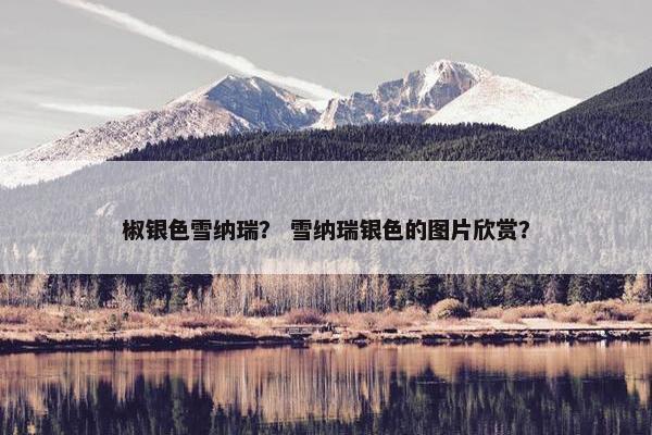 椒银色雪纳瑞？ 雪纳瑞银色的图片欣赏？