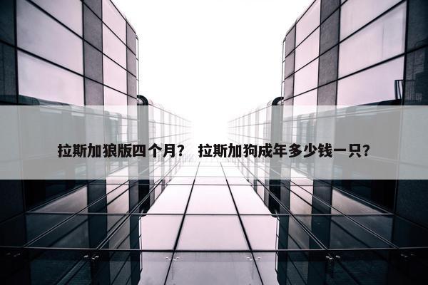 拉斯加狼版四个月？ 拉斯加狗成年多少钱一只？