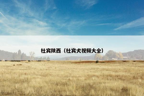 杜宾陕西（杜宾犬视频大全）