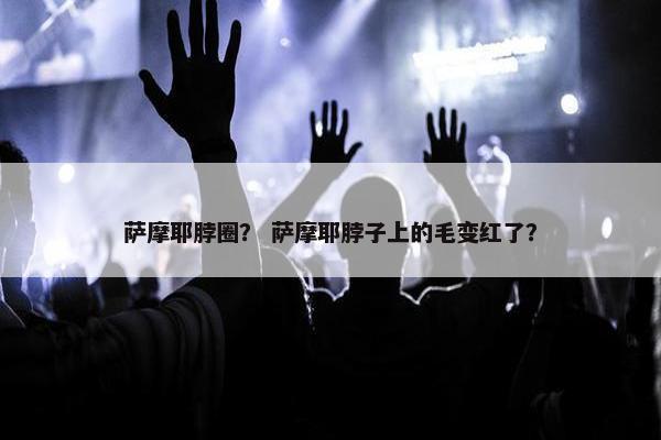 萨摩耶脖圈？ 萨摩耶脖子上的毛变红了？
