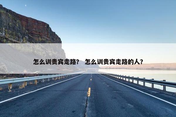 怎么训贵宾走路？ 怎么训贵宾走路的人？