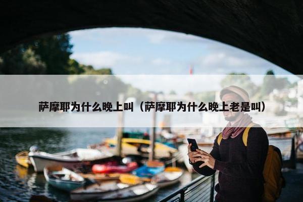 萨摩耶为什么晚上叫（萨摩耶为什么晚上老是叫）