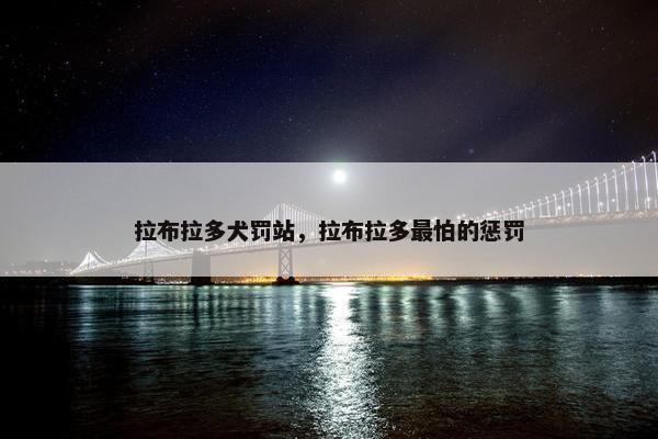 拉布拉多犬罚站，拉布拉多最怕的惩罚