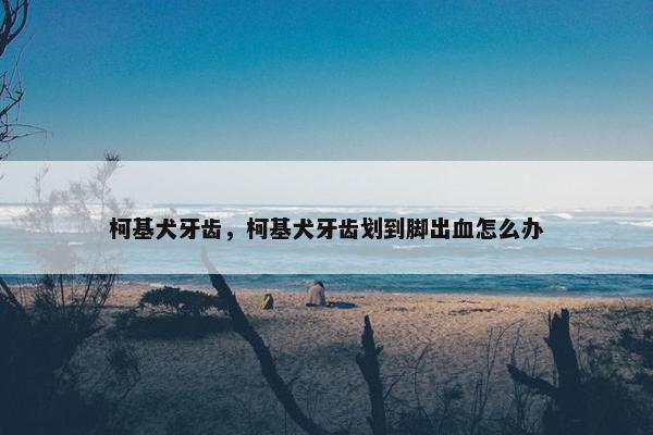 柯基犬牙齿，柯基犬牙齿划到脚出血怎么办