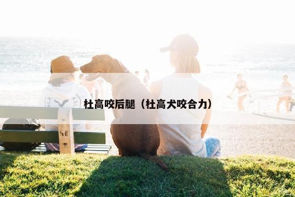 杜高咬后腿（杜高犬咬合力）